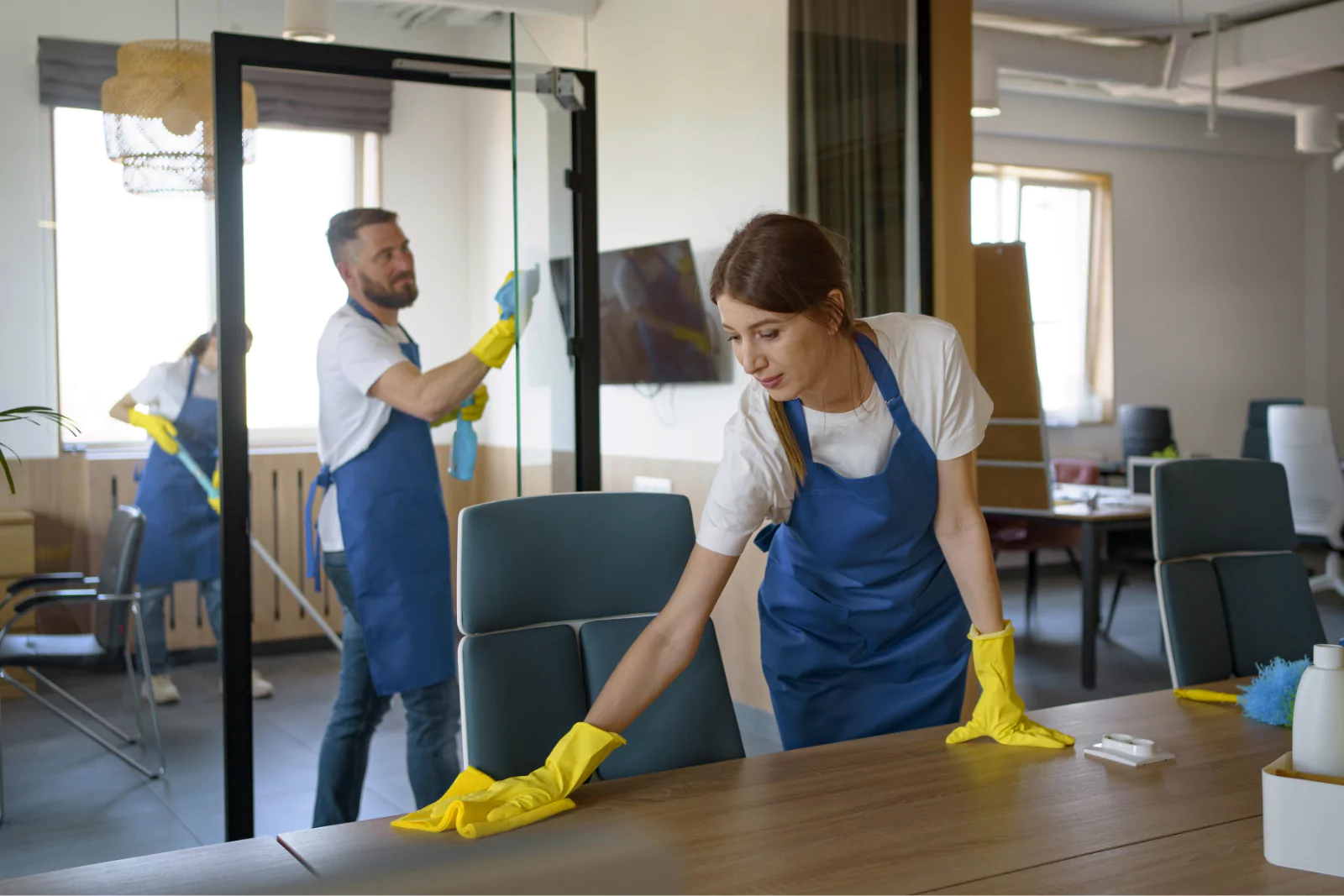 cleaning services (10)