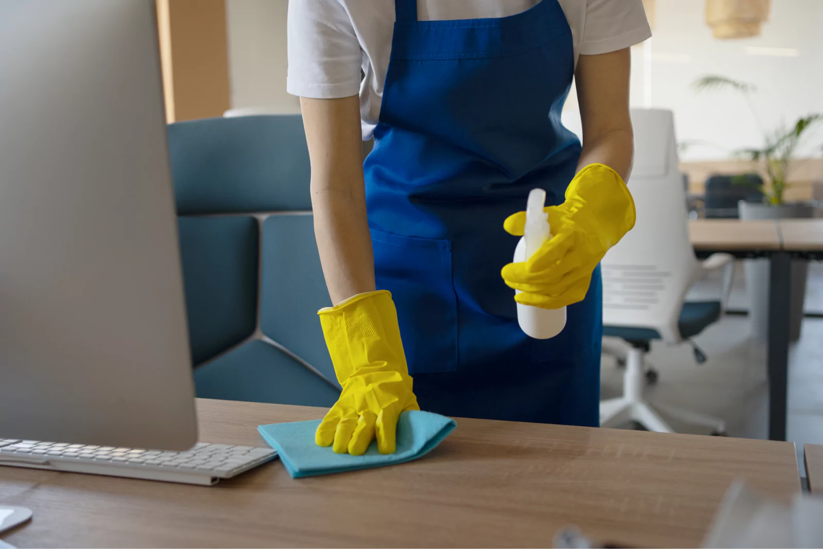 cleaning services (11)