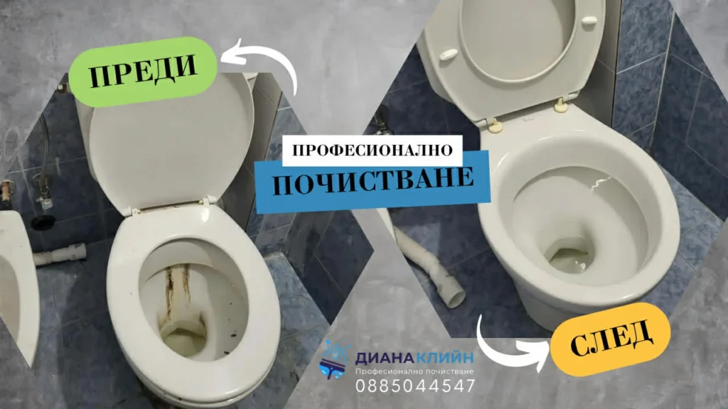 dianaclean before after 1