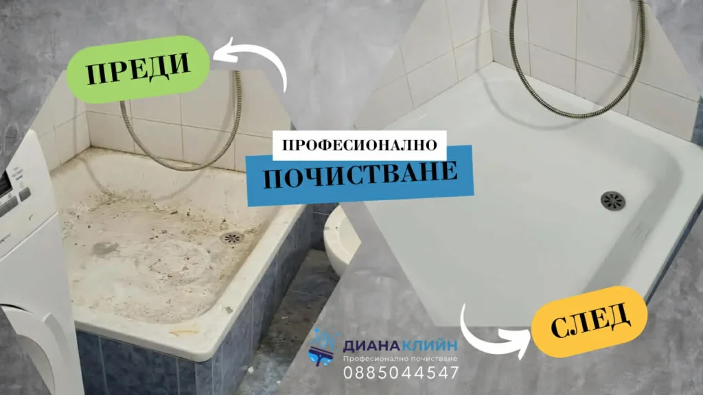 dianaclean before after 3